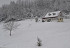 Iarna